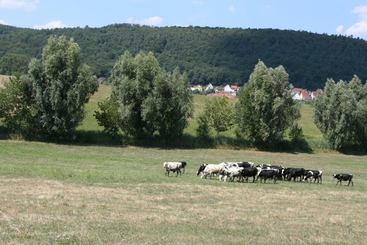 La Ferme De Georges Apt 1 A 6 Pers Bischholtz المظهر الخارجي الصورة